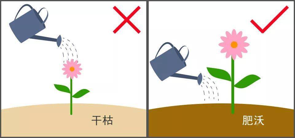 脸蛋|你的脸蛋“一键美颜”,除了滤镜还靠什么?