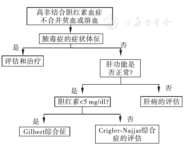 胆红素偏高原因_胆红素高是啥原因_胆红素高的原因