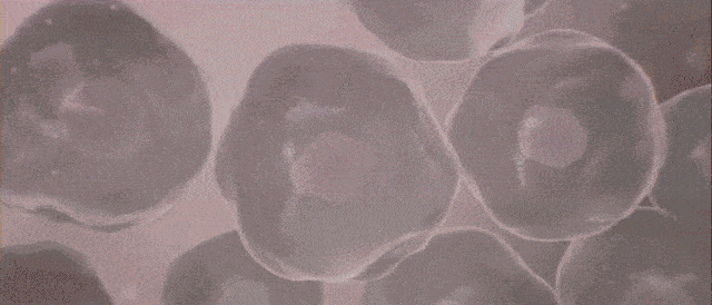 脸蛋|你的脸蛋“一键美颜”,除了滤镜还靠什么?