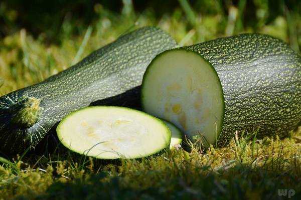 皱纹|去除皱纹、美白护肤，排毒消脂，早吃早好女人爱美多吃的食物