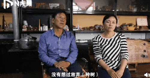 妻子|沙漠里给30万网友种爱情树，这对夫妻火了！