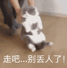 de3360d5f5f847aea6e2fef15b235f05.gif