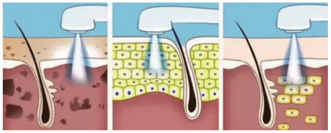 直播|“郑爽直播情绪失控大吵大闹?” 网友:求求你别再作了!
