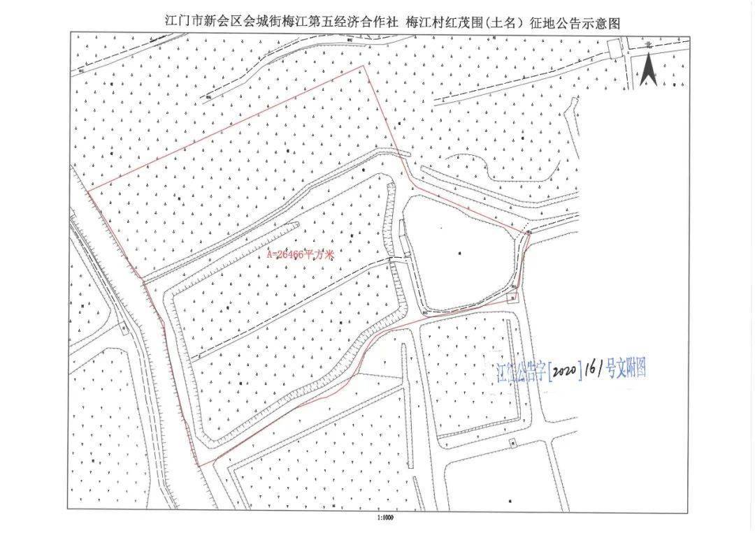 广东省各市2020年8月_广东省各市分布图(3)