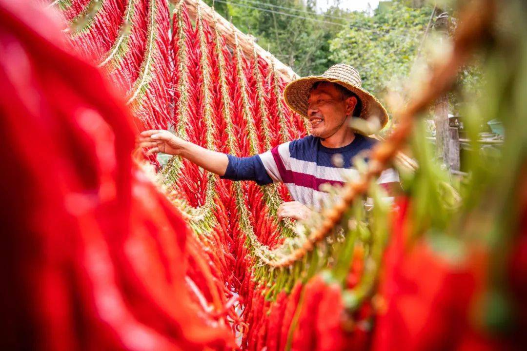 毕节地区有多少人口_毕节地区地图全图