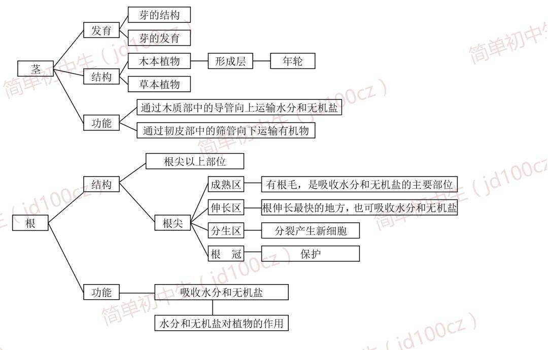 初中生物重要概念思维导图,照这个复习准没错!值得收藏