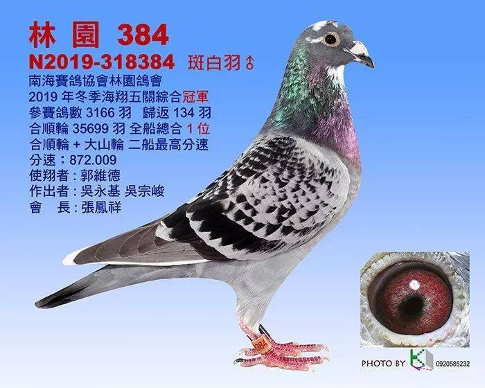 高手云集,19年北京开创者俱乐部,富兴隆的一羽环号05164的赛鸽以第四