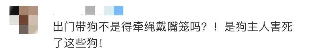 火腿肠|蹊跷！深圳小区宠物狗接连死去，疑似被投毒？警方介入