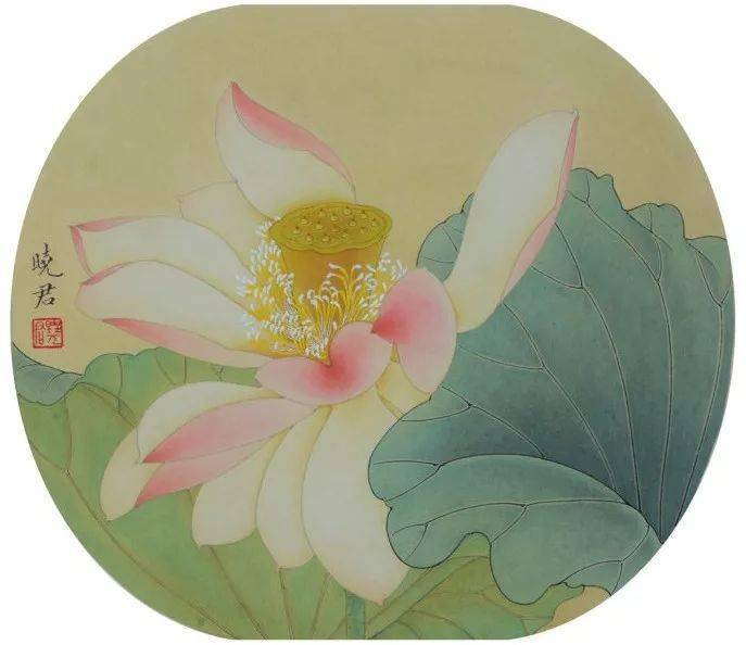图文教程丨杨晓君工笔荷花《淡妆浓抹总相宜》绘画步骤