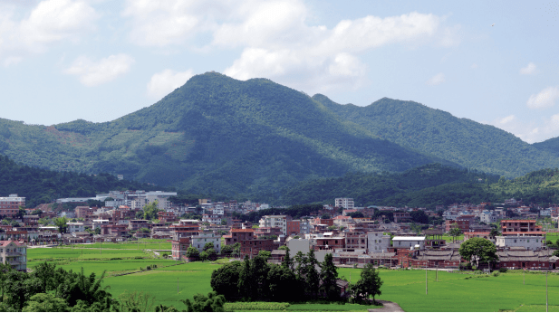 大庭村人口_大庭叶藏