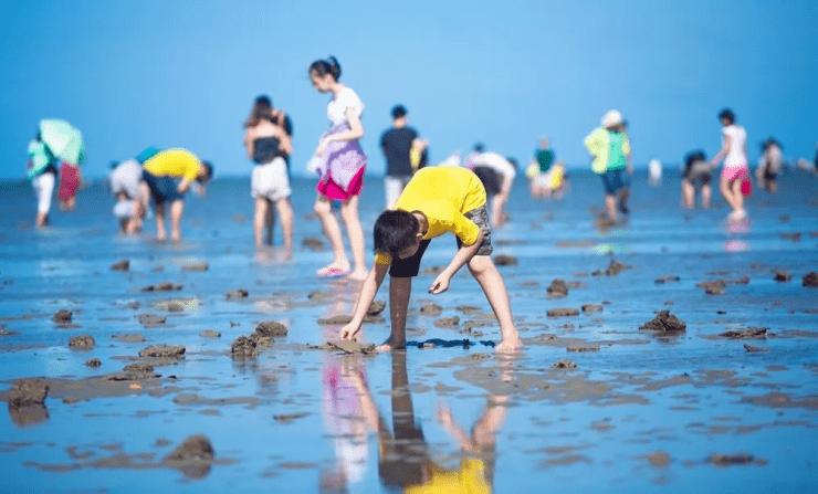 北海恒大御景湾【开海文化节】银滩西赶海捕鱼 海味大狂欢