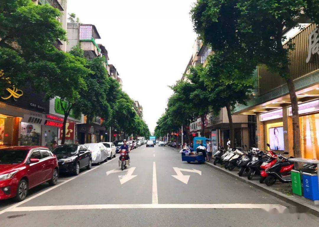 新湖路(李嘉怡 摄)新鹤路(吕桢华 摄■新环路跨涌段道路通车新环路跨