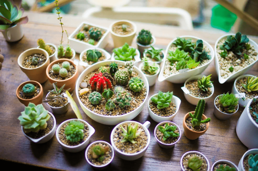 39fd3bbb1b534f8d88090d25f7404a8d.png