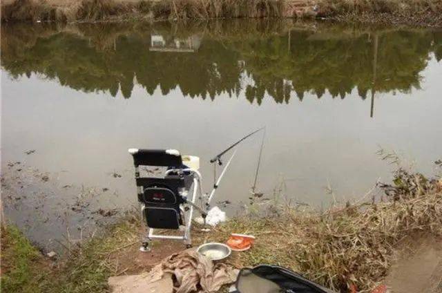 饵料|据说这鲤鱼钓法又火了八月一到