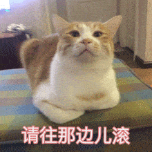 9a841560c9c9480186cd181a380cbcb9.gif