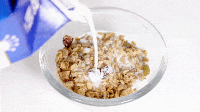 ebbd2db676b24b96b372b071d6ce81ec.gif