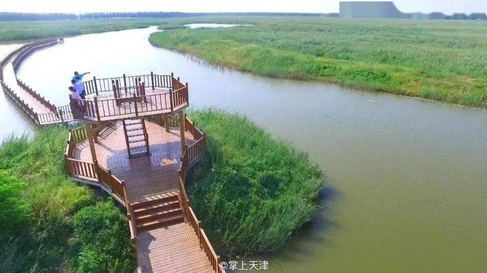 原来武清有这么多公园你去过吗