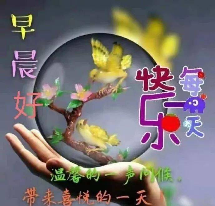 早上好问候美图,早安问候语句._手机搜狐网