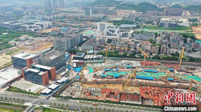 华侨农场|深圳光明区：从农场到科学城的蜕变