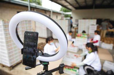 直播|平谷桃农做直播当网红卖桃实现增收