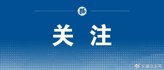 考生|湖北公布本科第二批投档分数线，省招办还有重要提醒！
