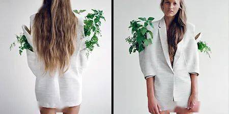 服装|【设计师】有趣的种子服装，让身上布满绿植，你想体验下吗