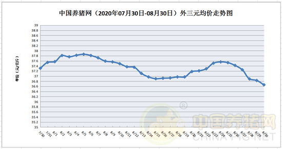 福建各市2020年前4月_福建各市面积图片(3)