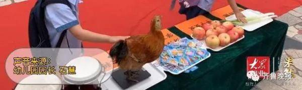 幼儿园|开学第一天摸鸡、摸大葱？山东这个幼儿园画风有点可爱！