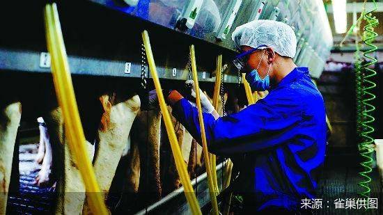 中石化|企业扶贫一马当先