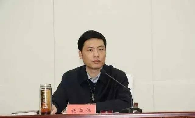 杨燕伟任廊坊代市长原任河北省委副秘书长