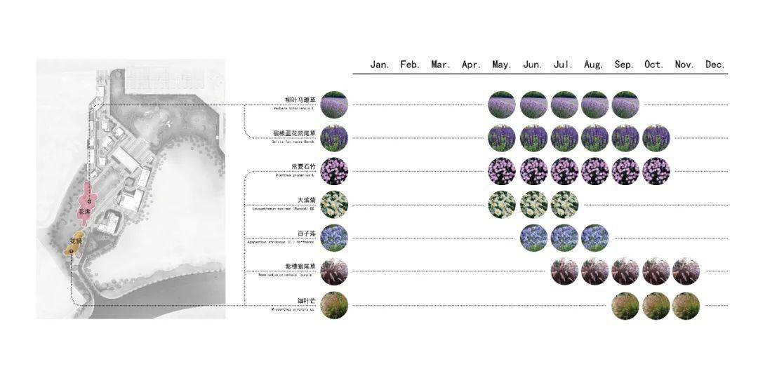 花境花海季相分析