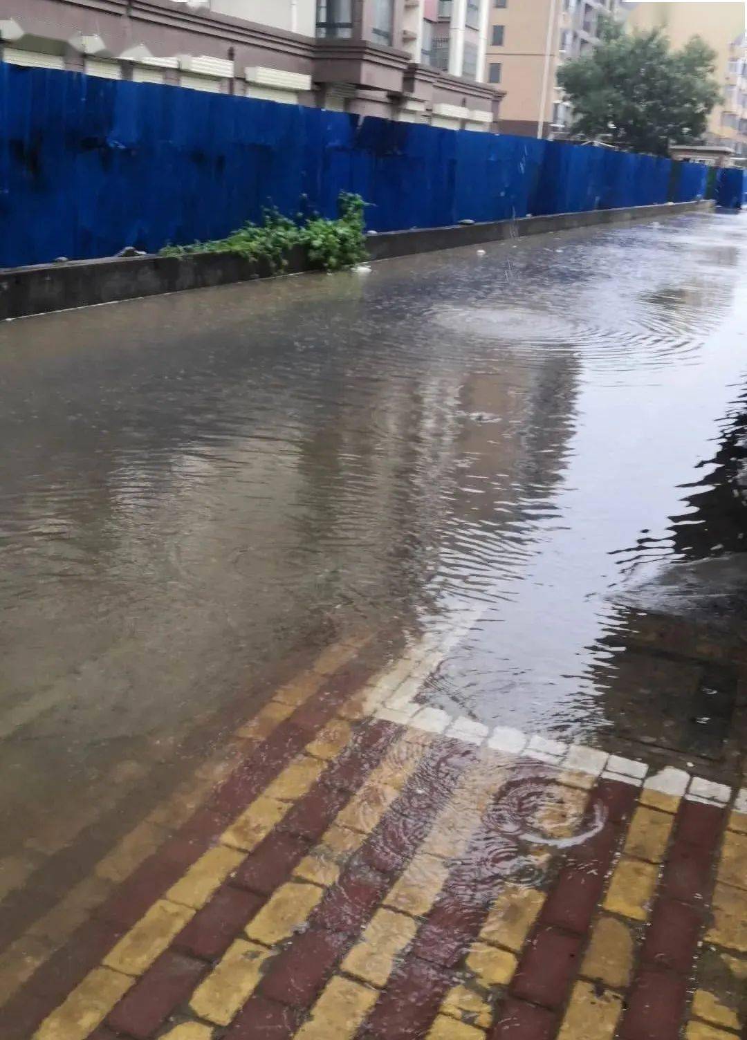 刚刚一阵暴雨,安阳这些地方被淹了!高清现场视频 图片