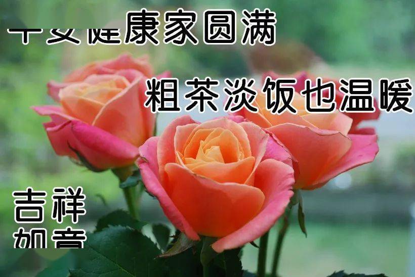 bdbafe5a6ed04f808d565ecc2a4b8901.jpeg