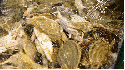 e0c4206d74f74d4ab42fa599e3be91d6.gif