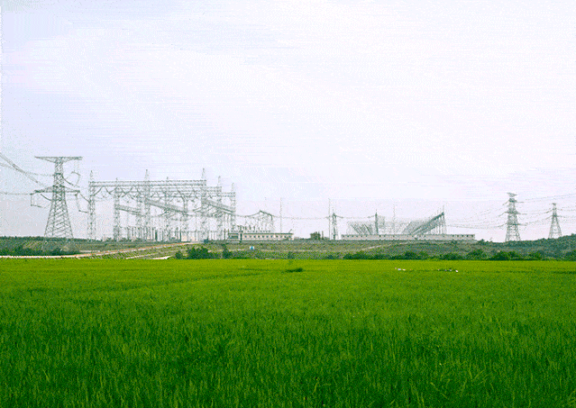 这件事外国专家说中国人10年也干不来结果亮了