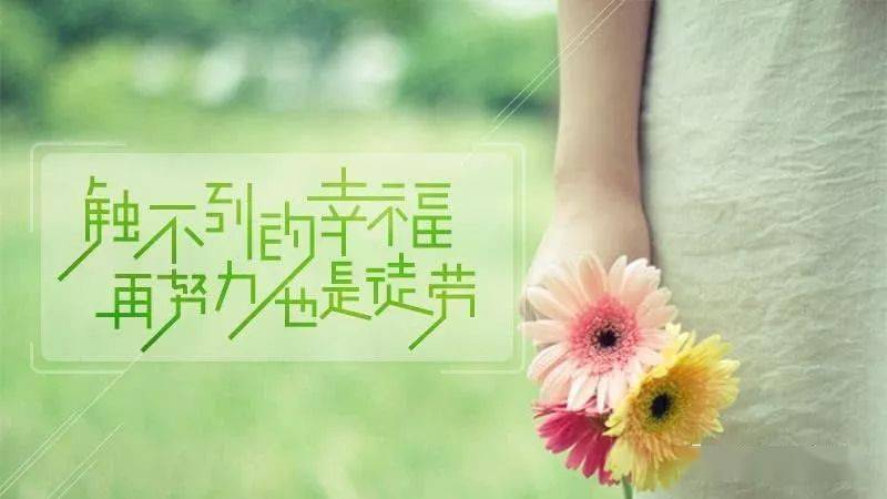 ab390dad1d23456a972bc777c58517cb.jpeg