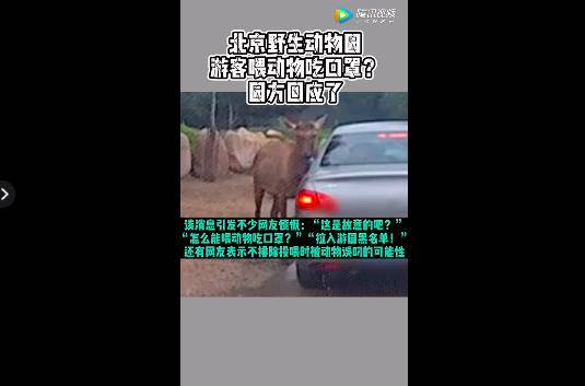 警方|游客在北京野生动物园给动物喂口罩？警方查清了！