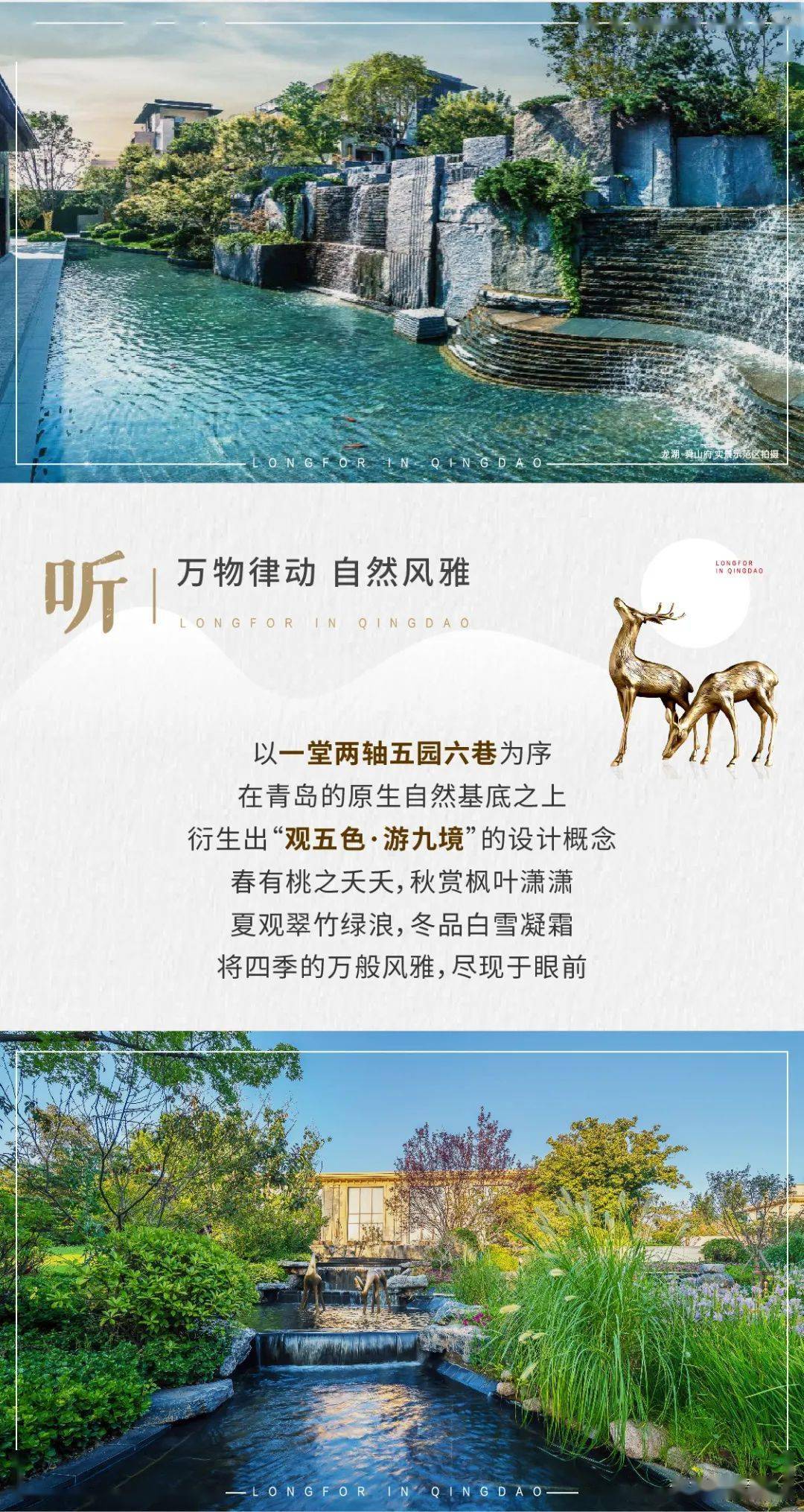 花园人口数_紫罗兰永恒花园