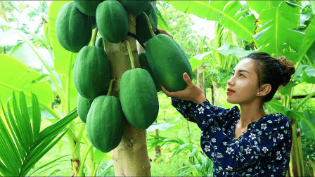 打开越南互联网，我觉得自己是个假中国人