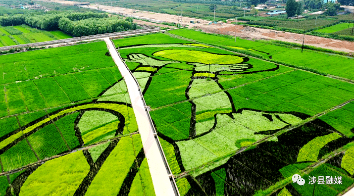 农业种植结构又突显红河谷的地域文化特质目前,大地景观建设已流转