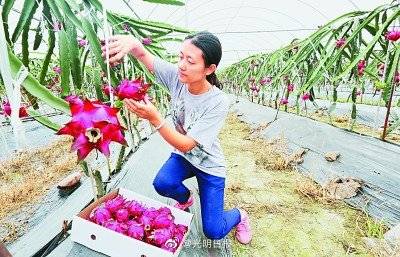 毕业生|如何让高校毕业生安心扎根基层？