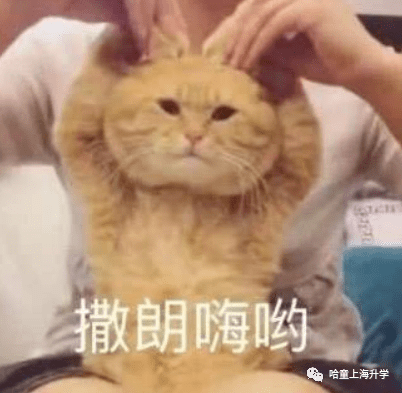 竞赛|华二不行了？“四校”大洗牌