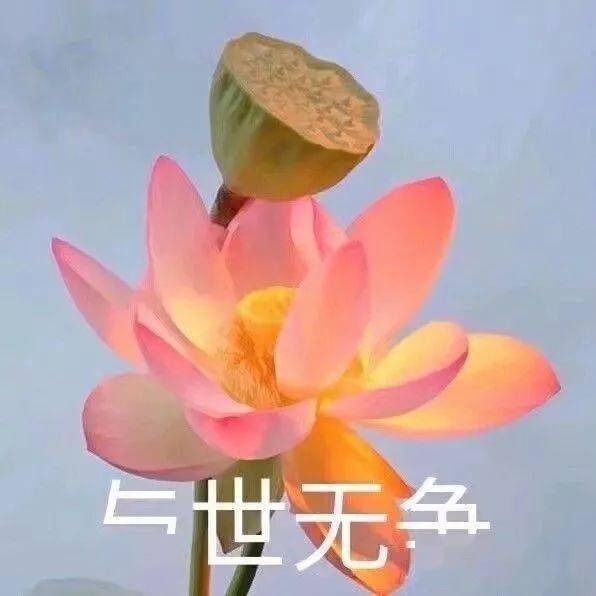 e14dc773735c4e4db1cf99735f74400b.jpeg