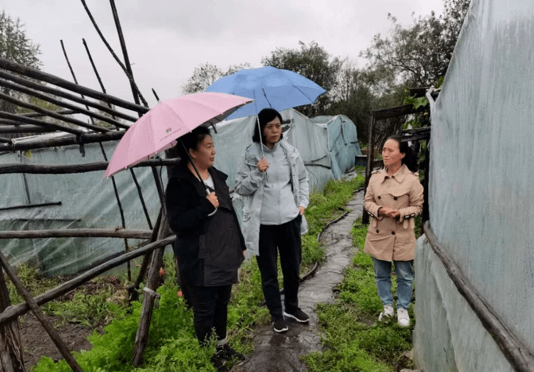 裴雅娟到吉文镇检查指导防汛工作