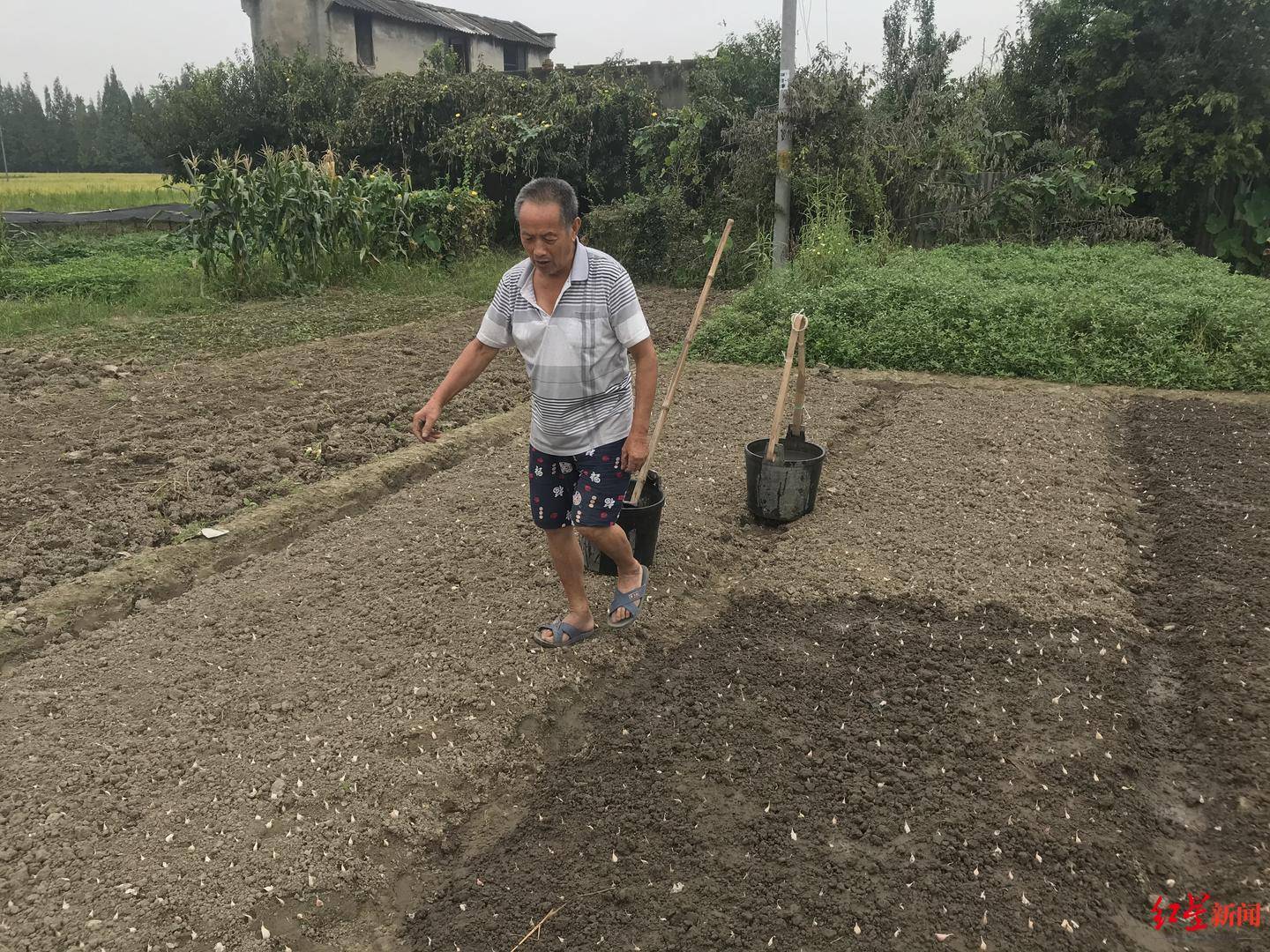 三星堆|见证｜三星堆国宝讲述人：农民工取土无意中发现玉石 一锄下去碰到青铜面具