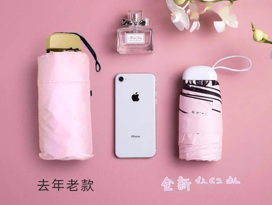 路人|撑这么漂亮的伞出门,经常被路人追着要链接!