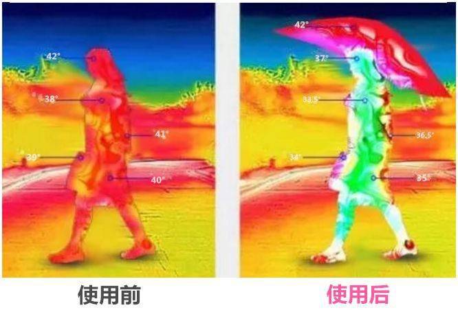 路人|撑这么漂亮的伞出门,经常被路人追着要链接!