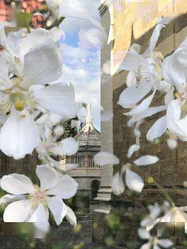 作品集|作品集里的视觉呈现形式，就这些？