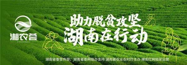 直播|莫让直播带货的“风”，变成胡乱作为的“秀”