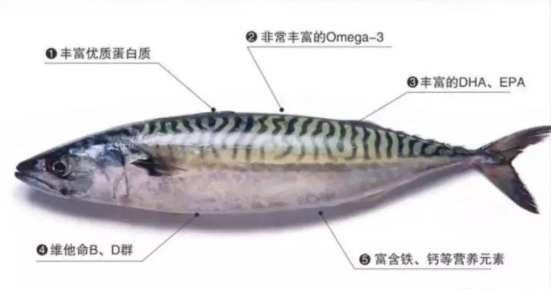 零食|便宜、大碗、高ω-3：最好使的猫零食罐找到了